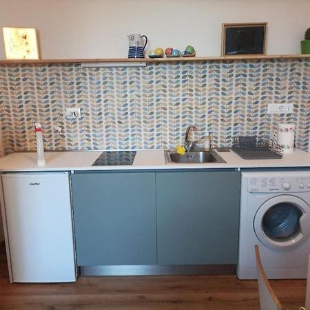 Pane E Tulipani, Cozy Apartment Near City Center 都灵 外观 照片
